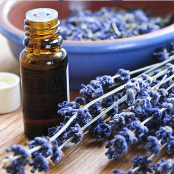 Essential Oils in Canton, MI